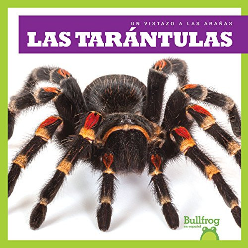 Las tarántulas (Tarantulas) (Spanish Edition) by Kristine Spanier, 9781641280587
