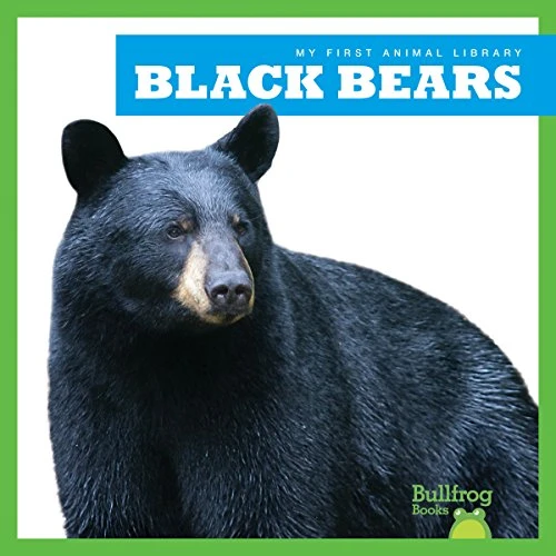 Black Bears - 9781624967566 by Jenna Lee Gleisner, 9781624967566