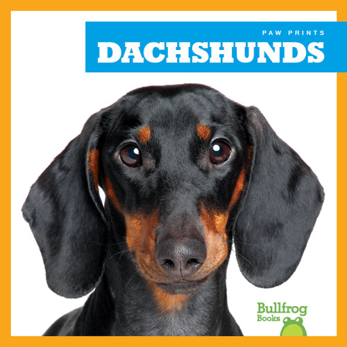 Dachshunds by Kaitlyn Duling, 9781624967689