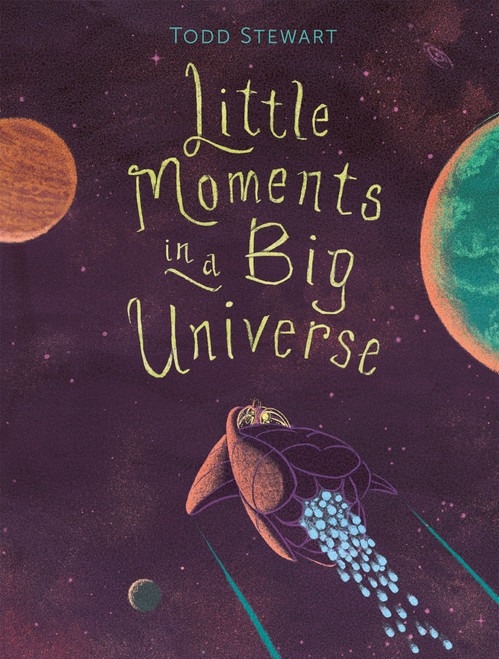 Little Moments in a Big Universe by Todd Stewart, 9781771475907