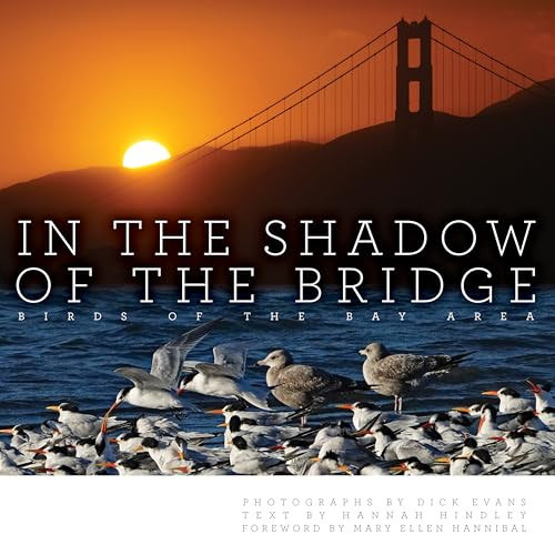 In the Shadow of the Bridge (Birds of the Bay Area) by Dick Evans, Hannah Hindley, Mary Ellen Hannibal, 9781597146913