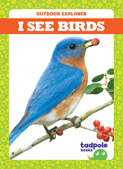 I See Birds by Tim Mayerling, 9781620319376