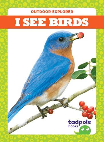 I See Birds by Tim Mayerling, Dana Flemming, 9781620319376