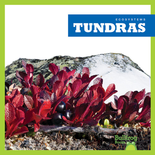 Tundras by Nadia Higgins, 9781620316825