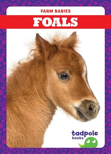 Foals - 9781620317679 by Tim Mayerling, Dana Fleming, 9781620317679