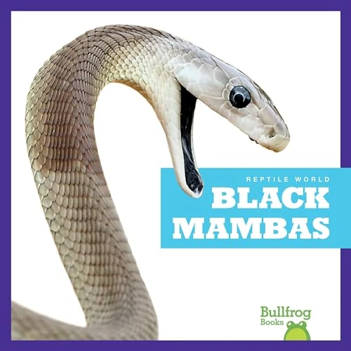 Black Mambas - 9781620316634 by Imogen Kingsley, 9781620316634