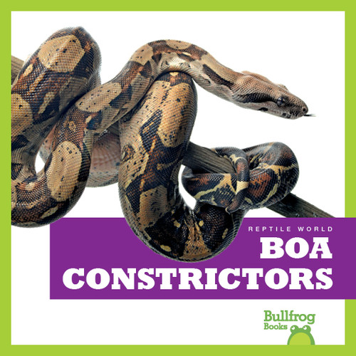 Boa Constrictors - 9781620316641 by Imogen Kingsley, 9781620316641