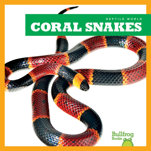 Coral Snakes - 9781620316658 by Imogen Kingsley, 9781620316658
