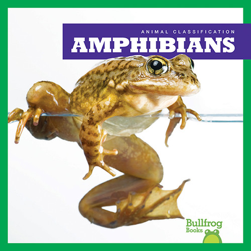 Amphibians by Erica Donner, 9781620315361