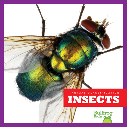 Insects - 9781620315392 by Erica Donner, 9781620315392