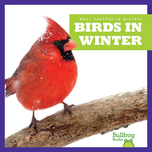 Birds in Winter by Jenny Fretland VanVoorst, 9781620313947
