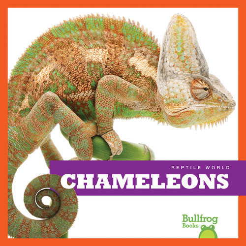 Chameleons - 9781620311943 by Cari Meister, 9781620311943
