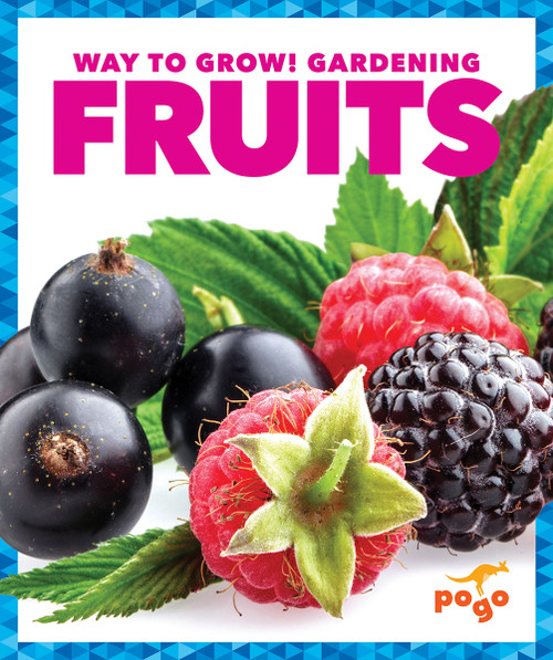 Fruits - 9781620312322 by Rebecca Pettiford, 9781620312322