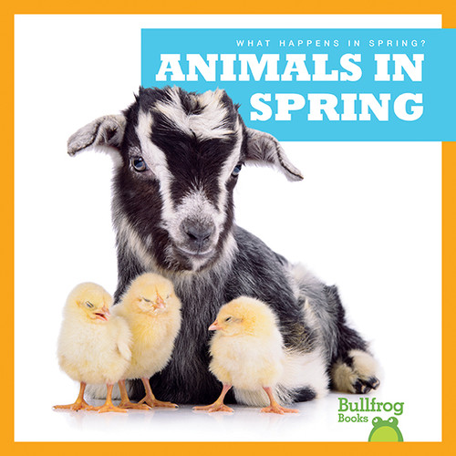 Animals in Spring - 9781620312346 by Jenny Fretland VanVoorst, 9781620312346