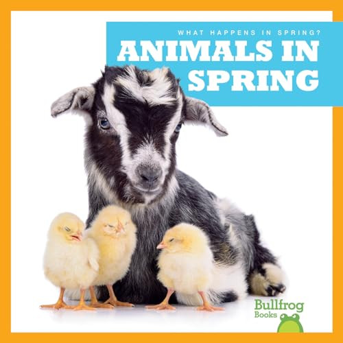 Animals in Spring - 9781620312346 by Jenny Fretland VanVoorst, Dana Flemming, 9781620312346