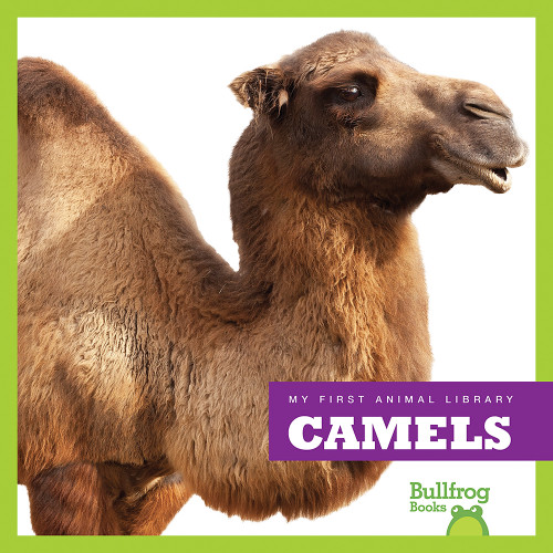 Camels - 9781620311745 by Mari Schuh, 9781620311745