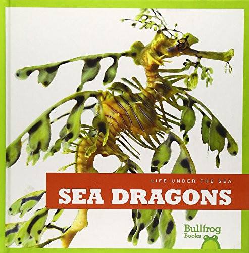 Sea Dragons by Cari Meister, 9781620311011