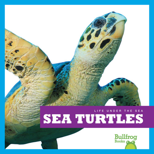 Sea Turtles - 9781620310342 by Cari Meister, 9781620310342