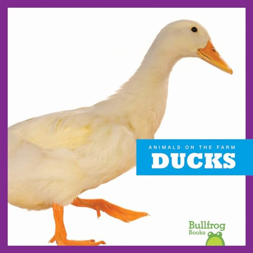 Ducks - 9781620310021 by Wendy Strobel Dieker, 9781620310021