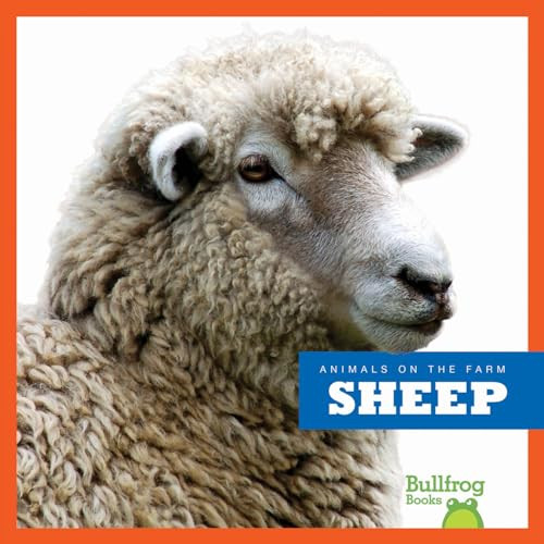 Sheep - 9781620310069 by Wendy Strobel Dieker, 9781620310069