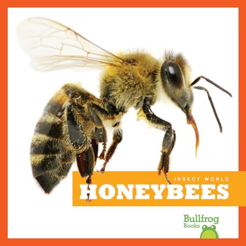 Honeybees - 9781620314708 by Mari Schuh, 9781620314708