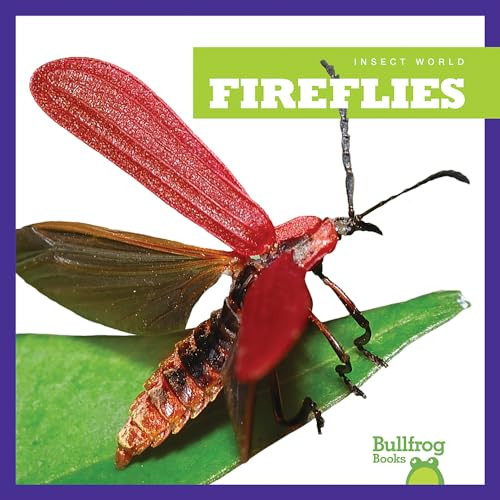 Fireflies - 9781620314692 by Mari Schuh, 9781620314692