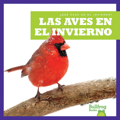 Las aves en el invierno (Birds in Winter) (Spanish Edition) - 9781620315286 by Jenny Fretland VanVoorst, 9781620315286