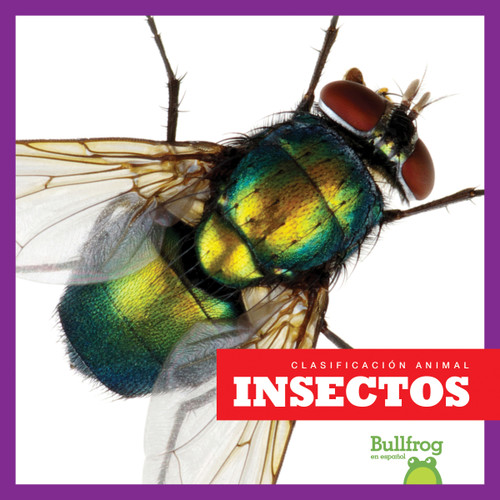 Insectos (Insects) (Spanish Edition) - 9781620316443 by Erica Donner, 9781620316443