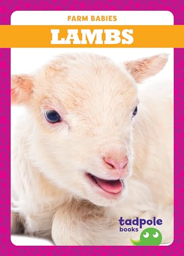 Piglets - 9781620317884 by Tim Mayerling, Dana Fleming, 9781620317884