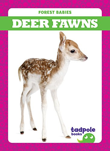 Deer Fawns by Genevieve Nilsen, Dana Flemming, 9781624969591