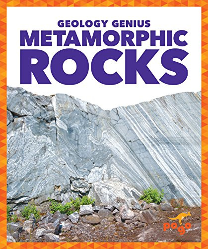 Metamorphic Rocks - 9781624968372 by Rebecca Pettiford, Dana Fleming, 9781624968372