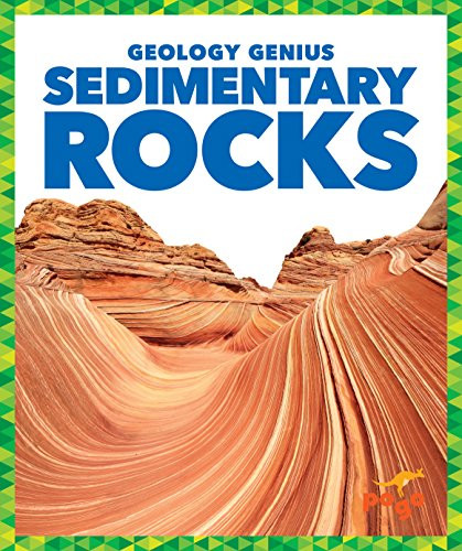 Sedimentary Rocks - 9781624968464 by Rebecca Pettiford, Dana Fleming, 9781624968464