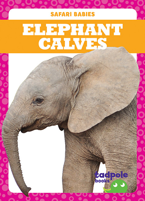 Elephant Calves - 9781641282352 by Genevieve Nilsen, 9781641282352