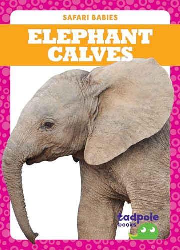 Elephant Calves - 9781641282352 by Genevieve Nilsen, Clayton Hansen, 9781641282352