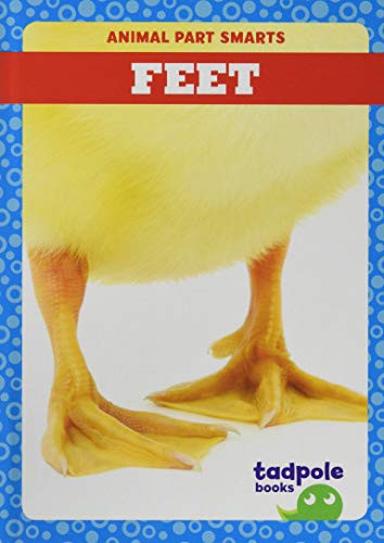 Feet - 9781641286961 by Jenna Lee Gleisner