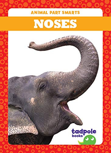 Noses - 9781641287029 by Jenna Lee Gleisner, 9781641287029
