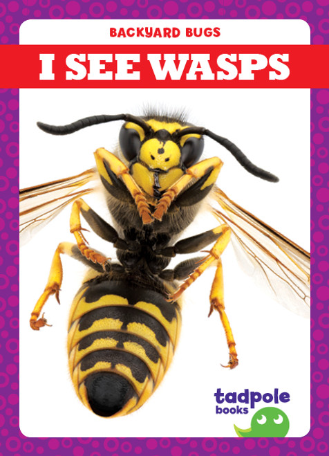 I See Wasps by Genevieve Nilsen, 9781641288040