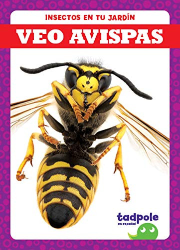 Veo avispas (I See Wasps) (Spanish Edition) by Genevieve Nilsen, 9781641289931