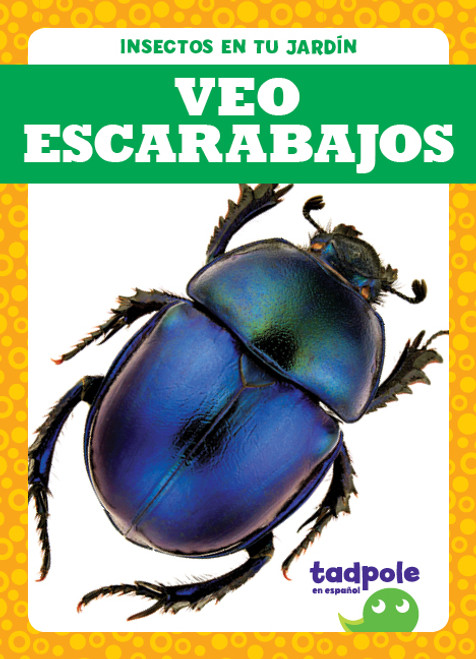 Veo escarabajos (I See Beetles) by Genevieve Nilsen, 9781641289955