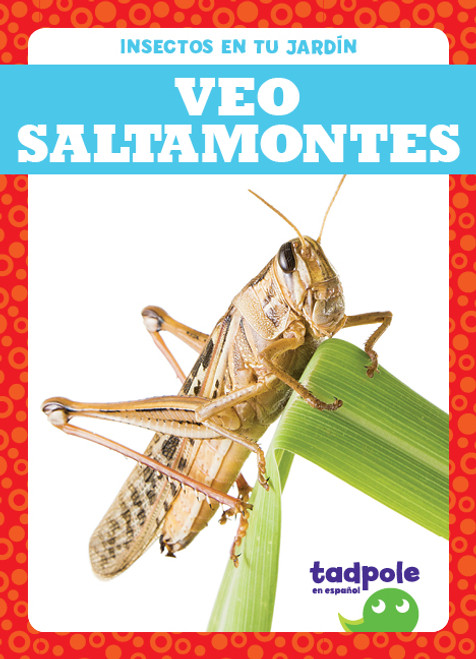 Veo saltamontes (I See Grasshoppers) by Genevieve Nilsen, 9781645270010