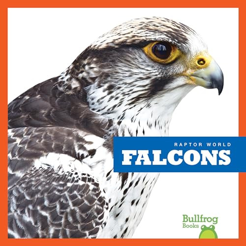 Falcons - 9781641286282 by Jenna Lee Gleisner, Clayton Hansen, 9781641286282