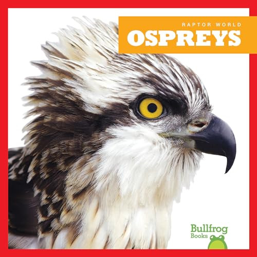 Ospreys - 9781641286329 by Jenna Lee Gleisner, Clayton Hansen, 9781641286329