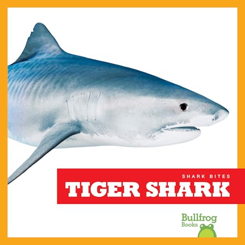 Tiger Shark - 9781641289672 by Jenna Lee Gleisner, Clayton Hansen, 9781641289672