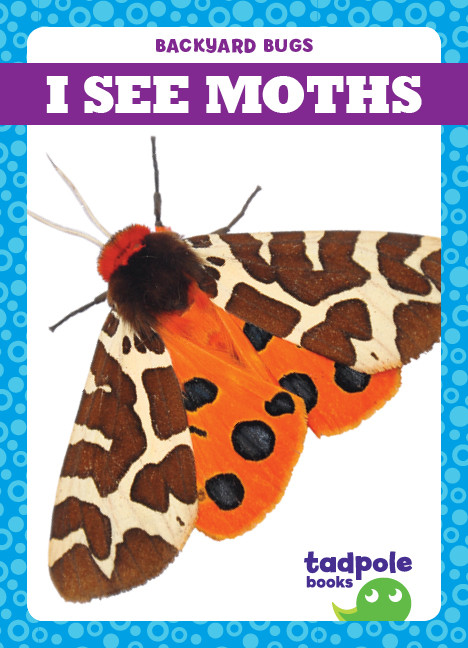 I See Moths - 9781641288026 by Genevieve Nilsen, 9781641288026