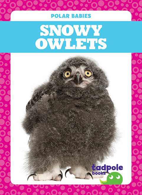 Snowy Owlets - 9781641287609 by Genevieve Nilsen, 9781641287609