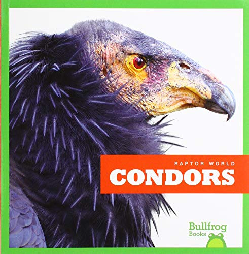 Condors - 9781641288194 by Jenna Lee Gleisner, Clayton Hansen, 9781641288194