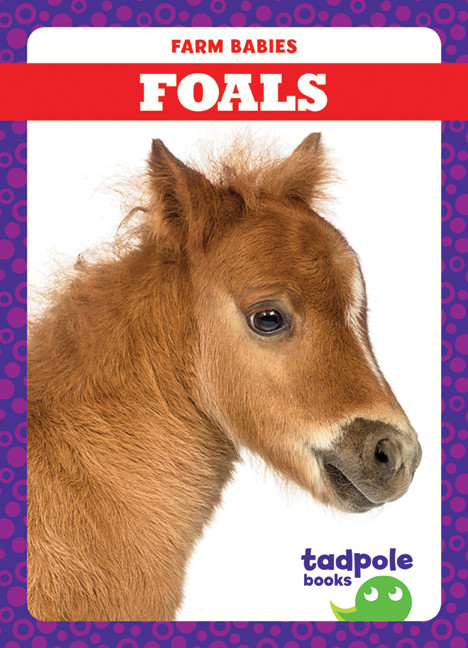 Foals - 9781641281164 by Tim Mayerling, 9781641281164