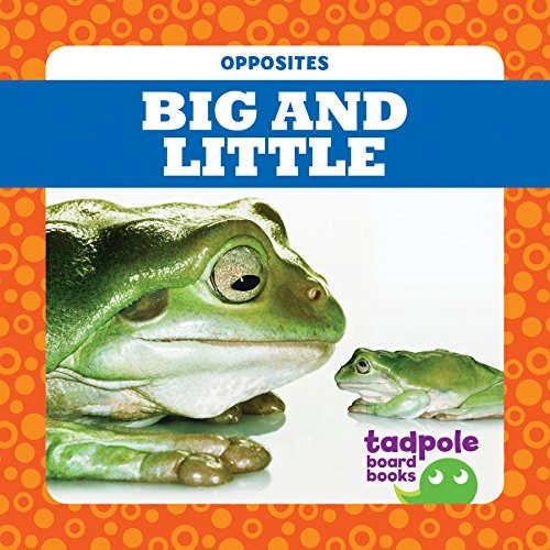 Big and Little - 9781641281195 by Erica Donner, Dana Flemming, 9781641281195