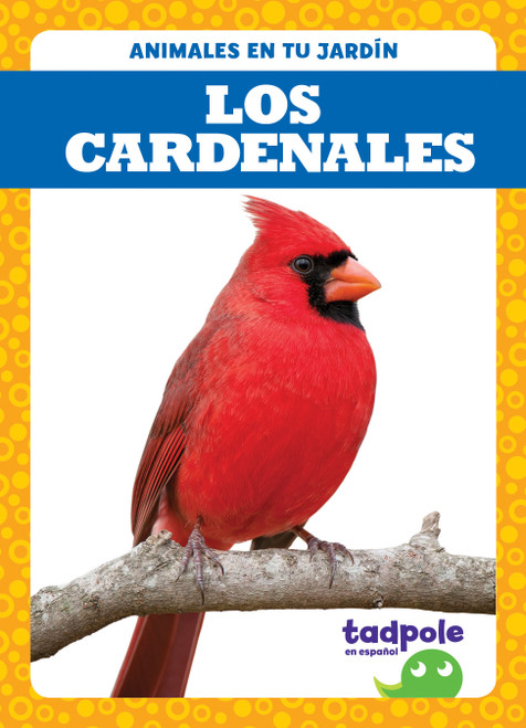 Los cardenales (Cardinals) by Genevieve Nilsen, 9781645272670