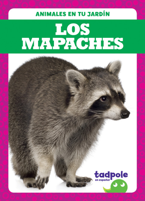 Los mapaches (Raccoons) by Genevieve Nilsen, 9781645272731